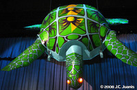 20081231-04-turtle.jpg